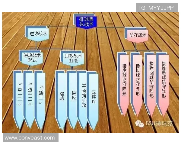 上海排球队整体压制战术解析与实战应用探讨