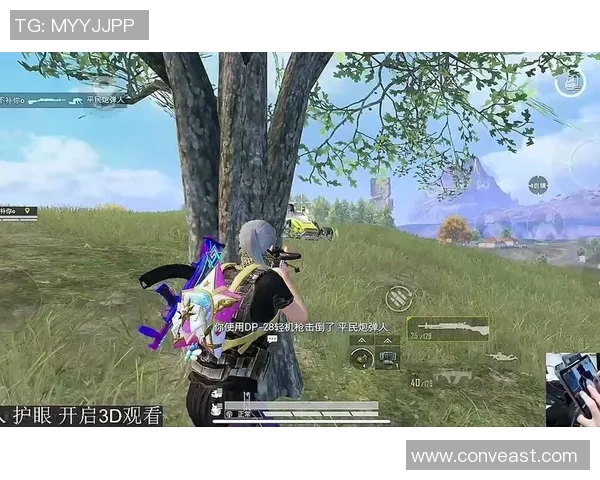 和平精英战术分析：深入探讨BLG边路渗透策略与实战应用